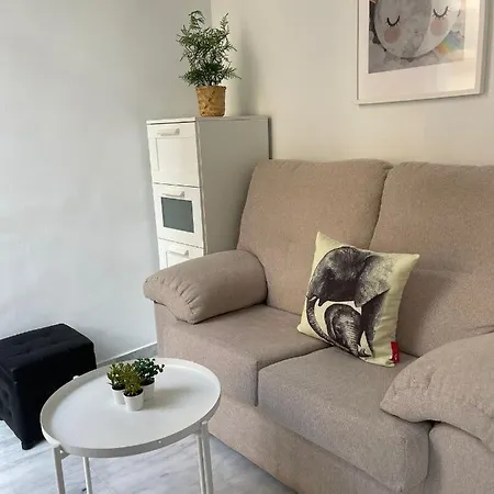 Apartment Ancha Del Carmen *