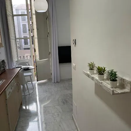 Ancha Del Carmen Apartment Malaga